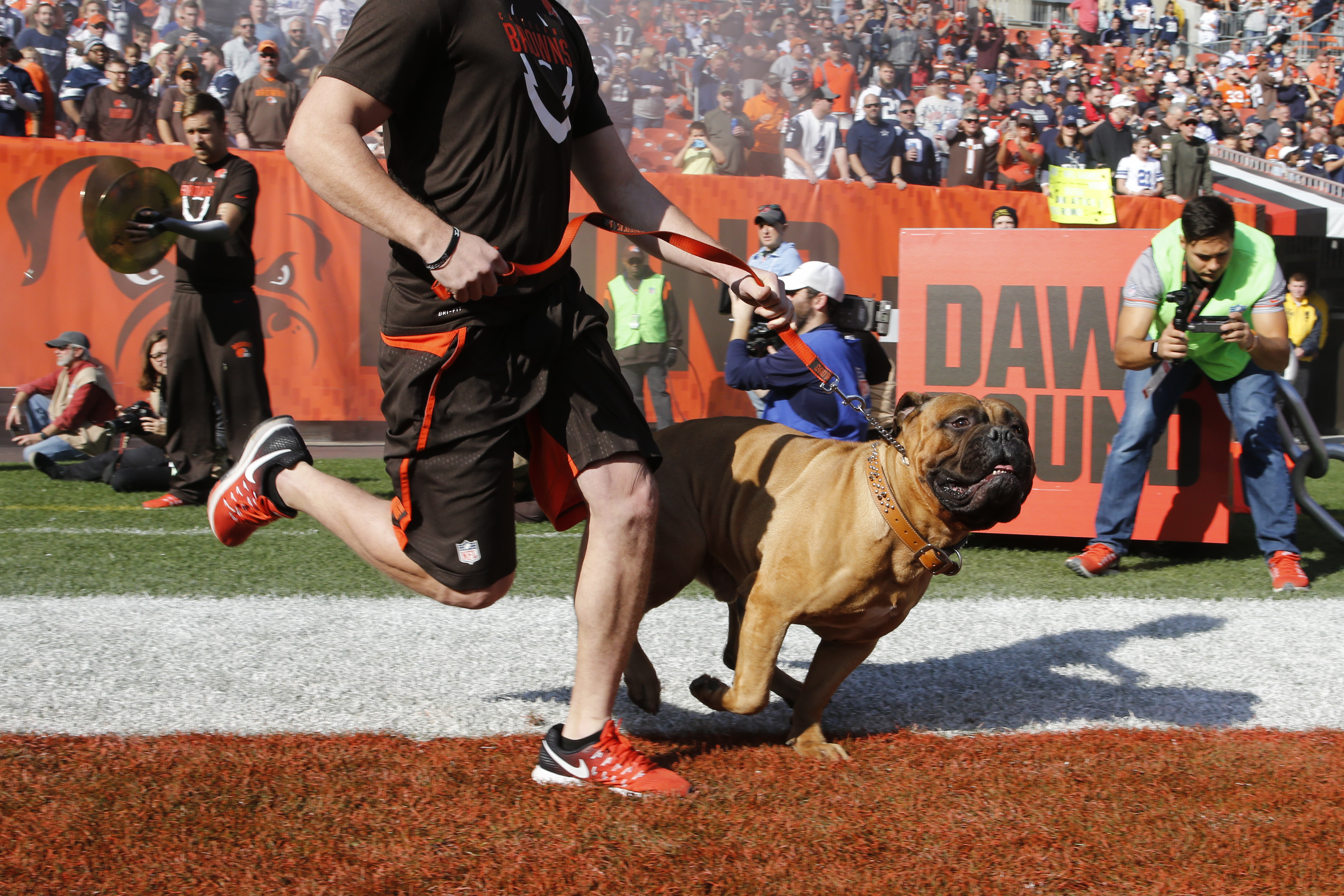 Browns mourn the loss of 'beloved' bullmastiff mascot Swagger at 6