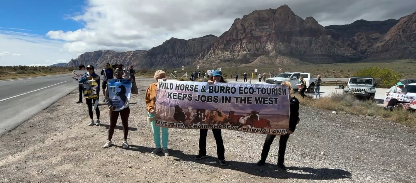 Rally near Red Rock opposes BLM wild horse, burro roundup plans