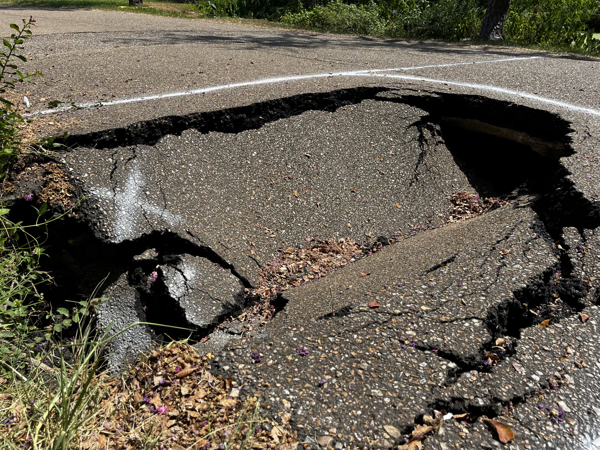 Portion of road collapses near LSU Lakes, forcing closure