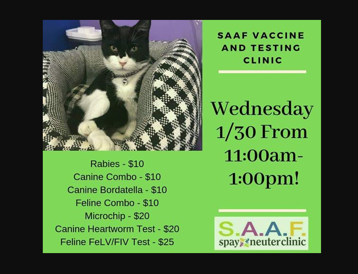 Cat sale combo vaccine