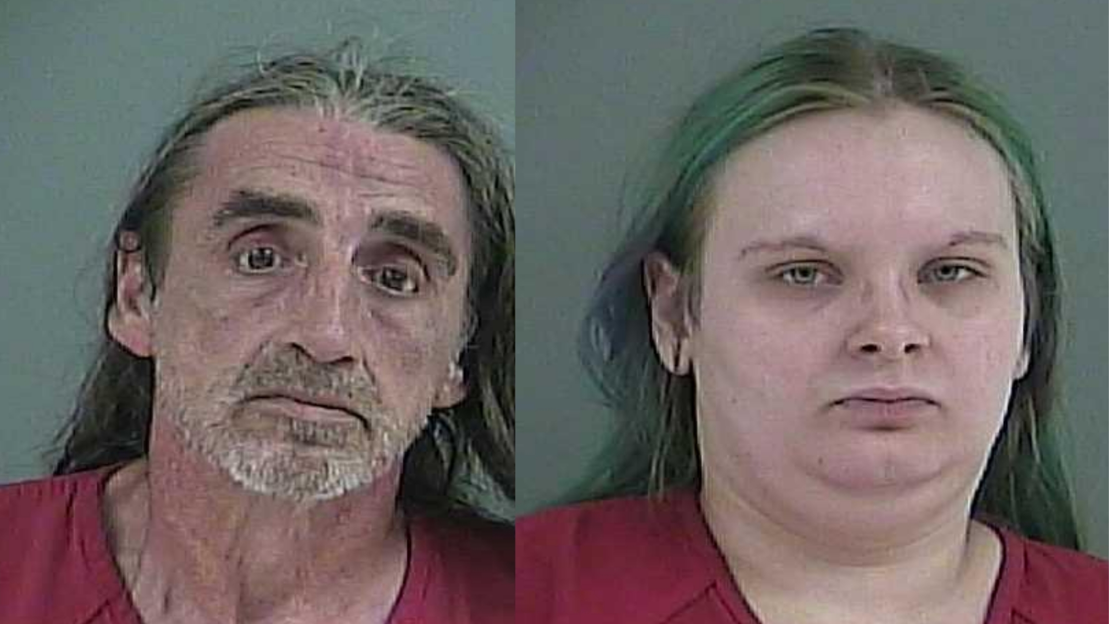 Disturbing details revealed in murder trial of couple accused of killing, dismembering Oak Ridge woman pic