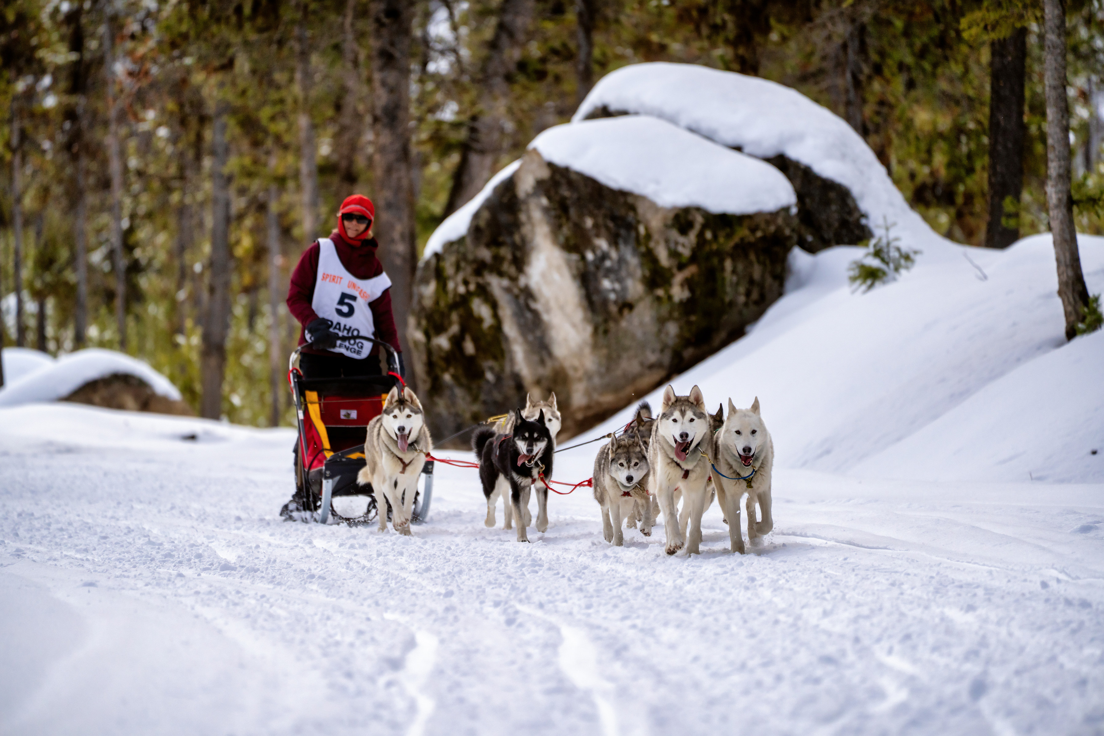 Jeff King discusses training and strategy for Alaska's premier