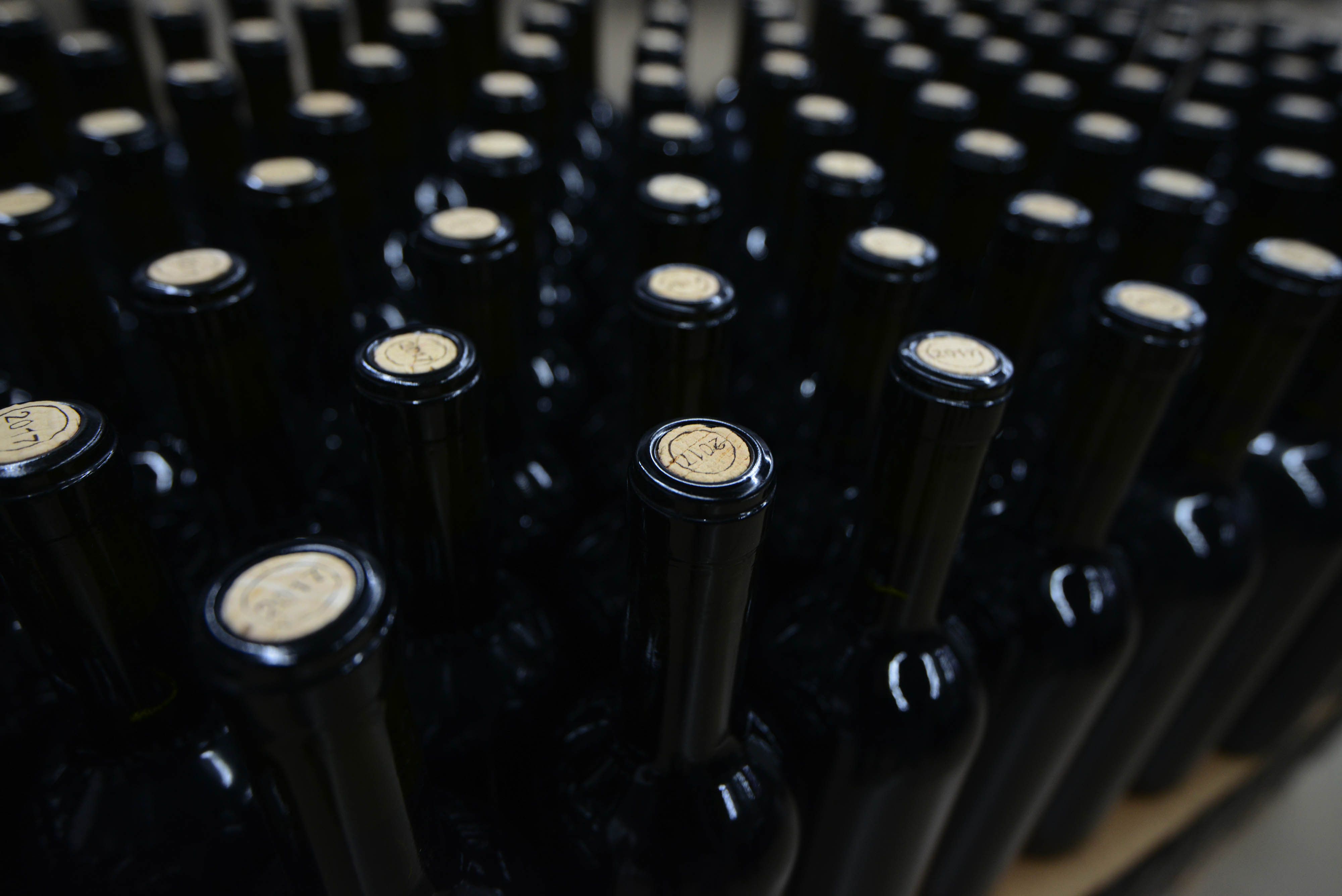 Hay que tener objetivos claros y no malgastar el dinero de los mendocinos por creer que el problema de Mendoza son los sobre stocks de vino tinto.
