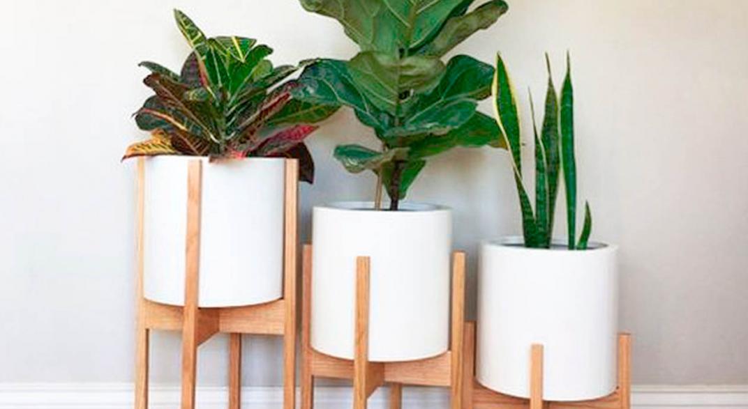 Macetas Para Interiores Elegantes Plantas En Macetas