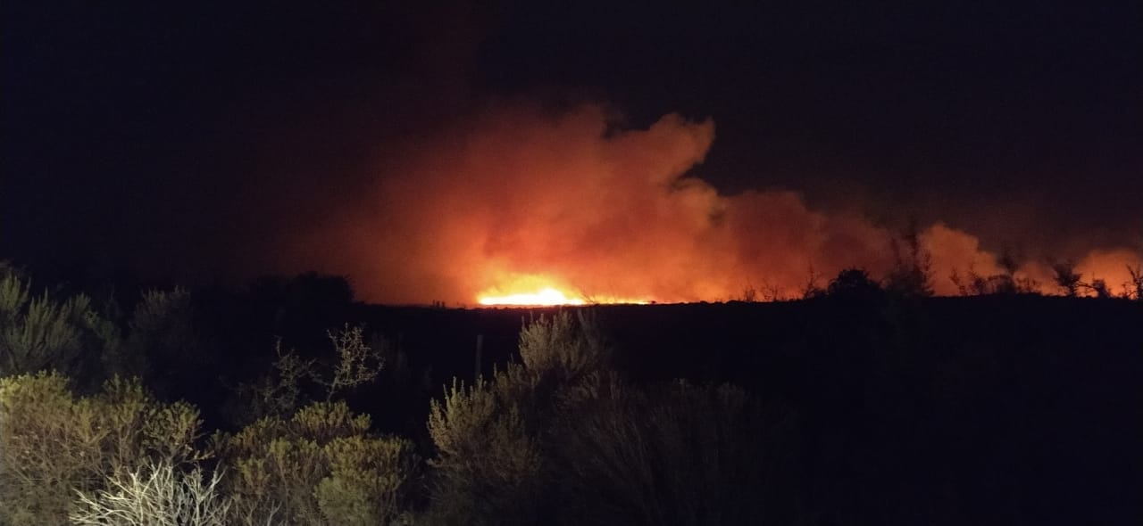 En Medio De Los Incendios Forestales De Cordoba Un Fotografo Logro Retratar A Un Dragon De Fuego