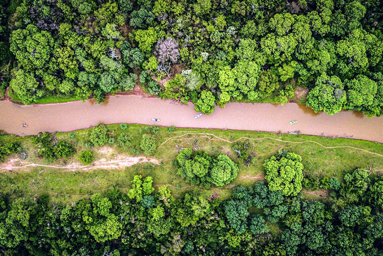 El Impenetrable chaque o una aventura de monte entre bosques de