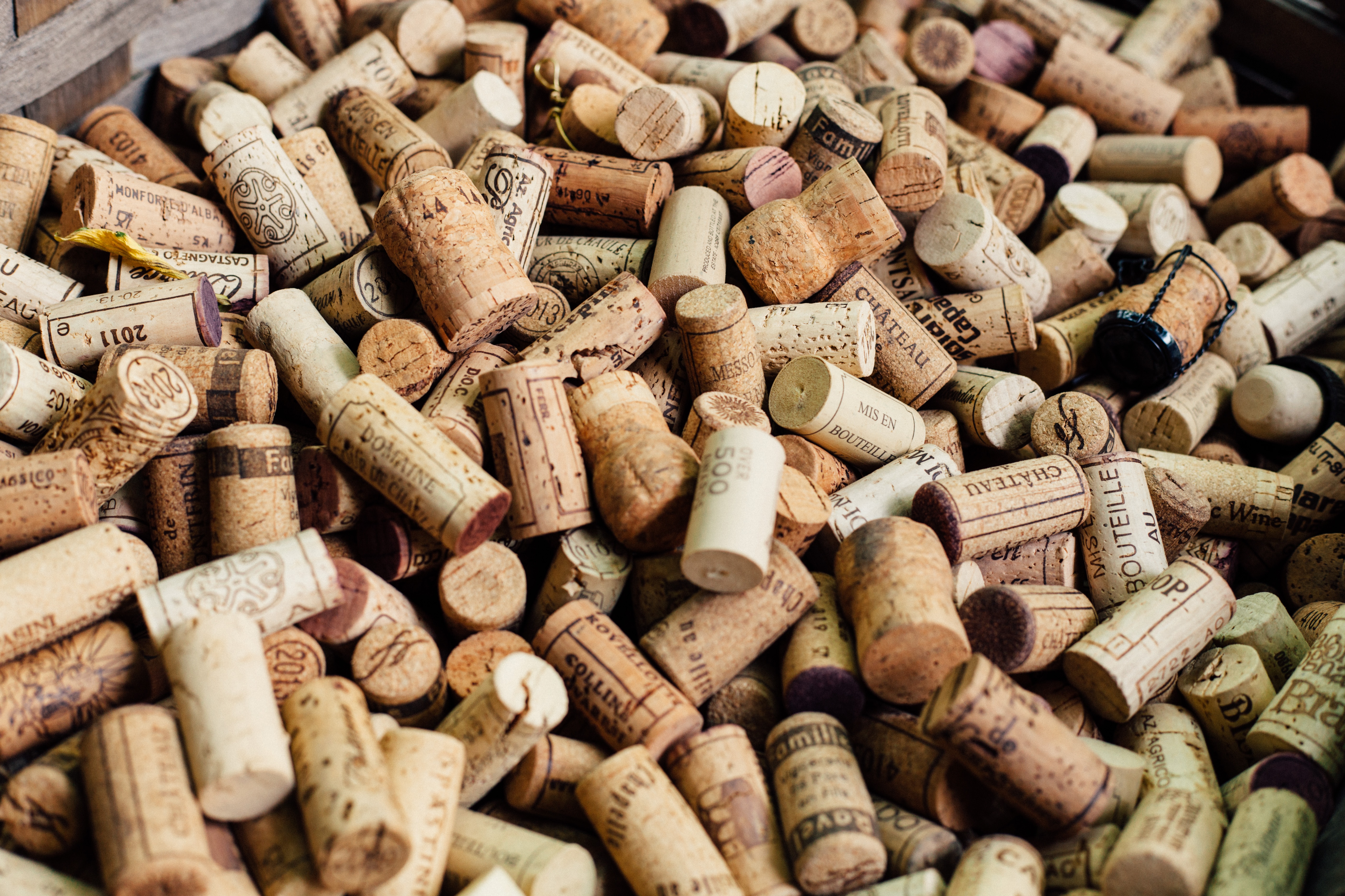 Hablemos de tapones para vinos: ¿corcho, plástico, tapa rosca