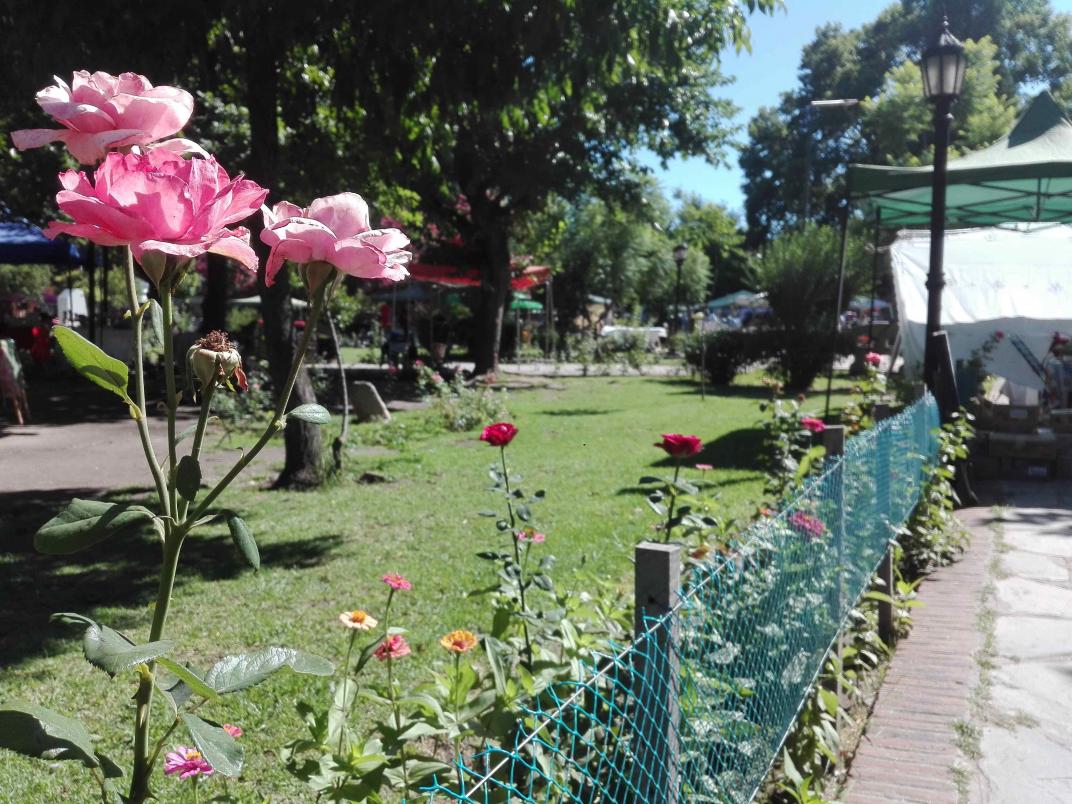 Feria de Villa de las Rosas: un clásico de Traslasierra que no podés dejar  de visitar