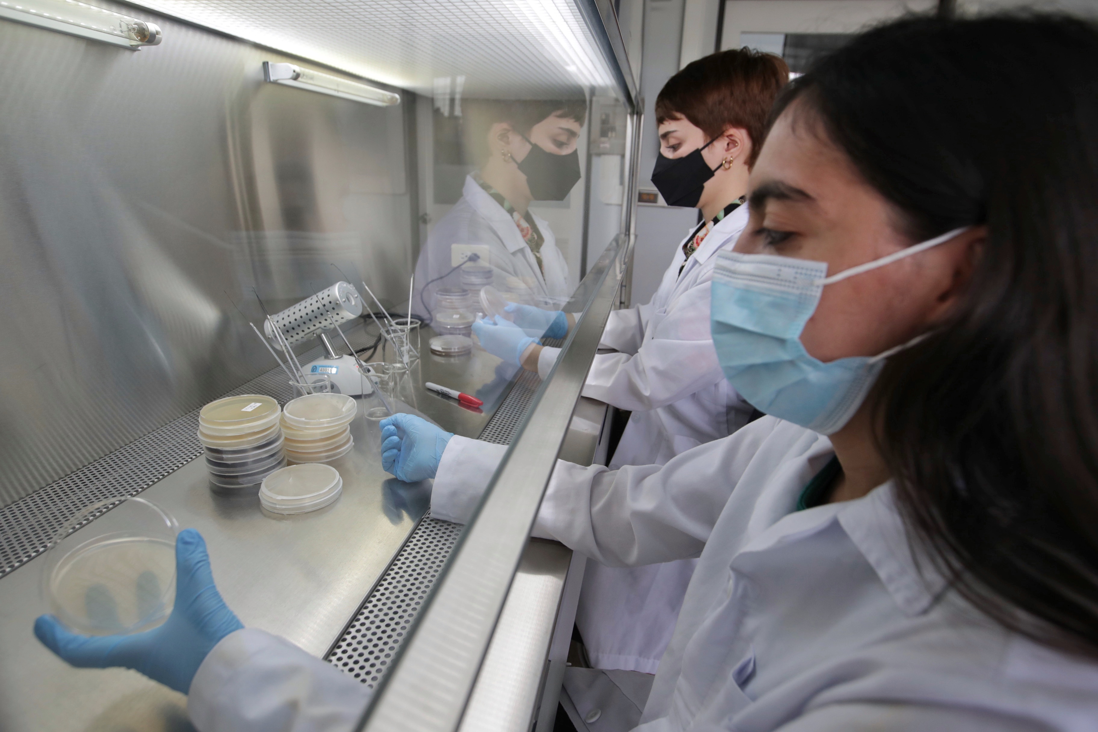 Paola Piza (al fondo) y Génesis Coto presentaron un emprendimiento para producir óvulos y cremas a base de probióticos para infecciones vaginales. Aquí en el área de Microbiología Ambiental de la Universidad de Costa Rica.