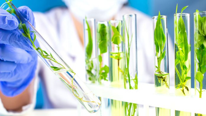 22/9/2021. Chile se ha especializado en la producción de bioinsumos, bioestimulantes y productos nutricionales para aumentar la producción y rentabilidad de los cultivos, con empresas como Agroadvance. Foto: Cortesía Prochile