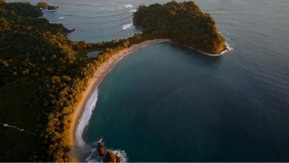 Vista de una sección del Parque Nacional Manuel Antonio (Quepos, Puntarenas) tomadas hace unas semanas. Fotografía: Minae para LN