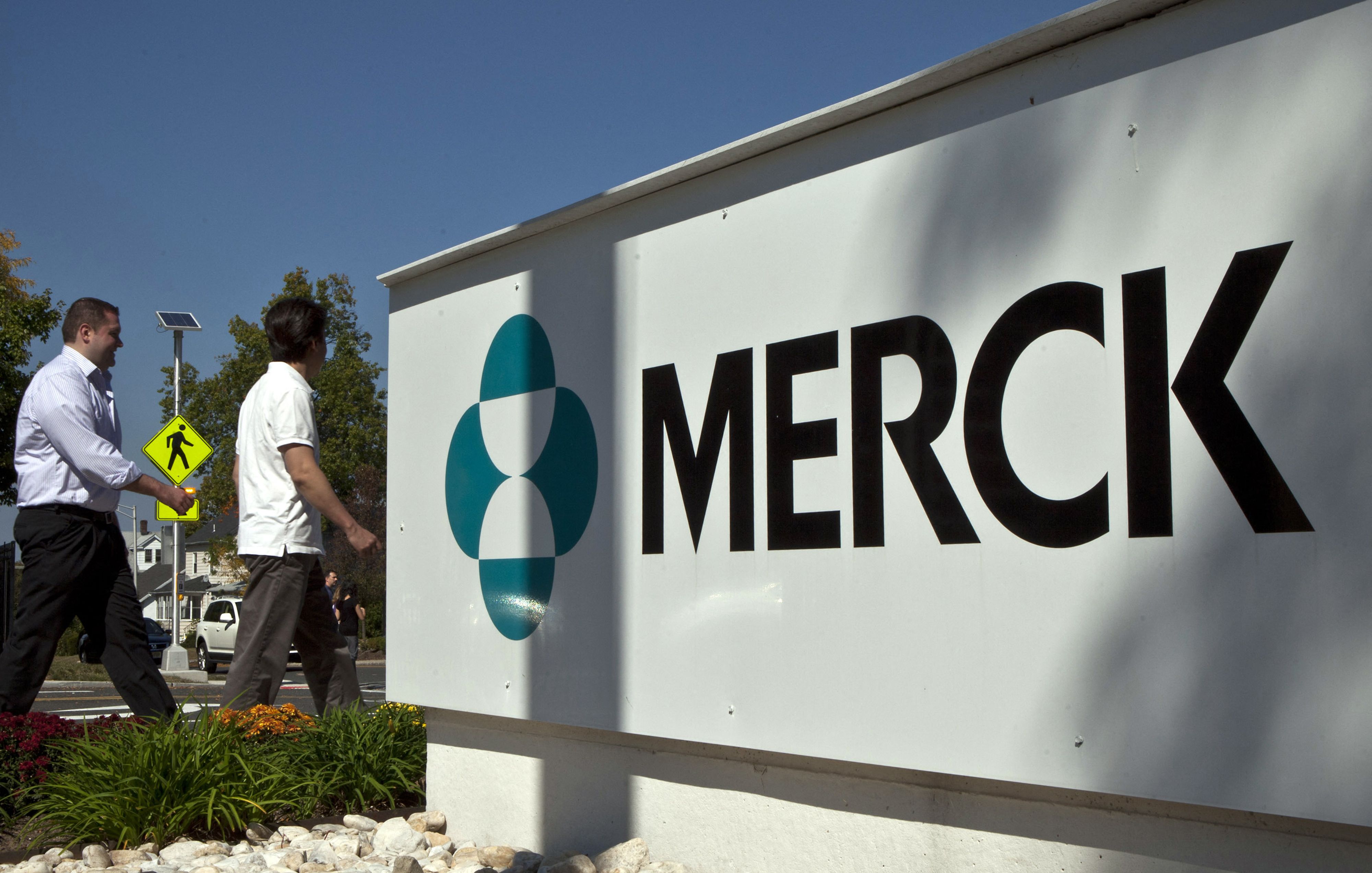 (FILES) In this file photo taken on October 2, 2013, Pharmaceutical company Merck employees walk past a Merck sign in front of the company's building in Summit, New Jersey. - Merck said on October 1, 2021, it will seek authorization in the US for an oral drug for Covid-19, after the pill showed "compelling results" in a clinical trial. The experimental drug, molnupiravir, significantly reduced the risk of hospitalization or death when administered to high-risk patients early in the disease, Merck and its partner Ridgeback Biotherapeutics said in a statement. (Photo by Kena Betancur / GETTY IMAGES NORTH AMERICA / AFP)