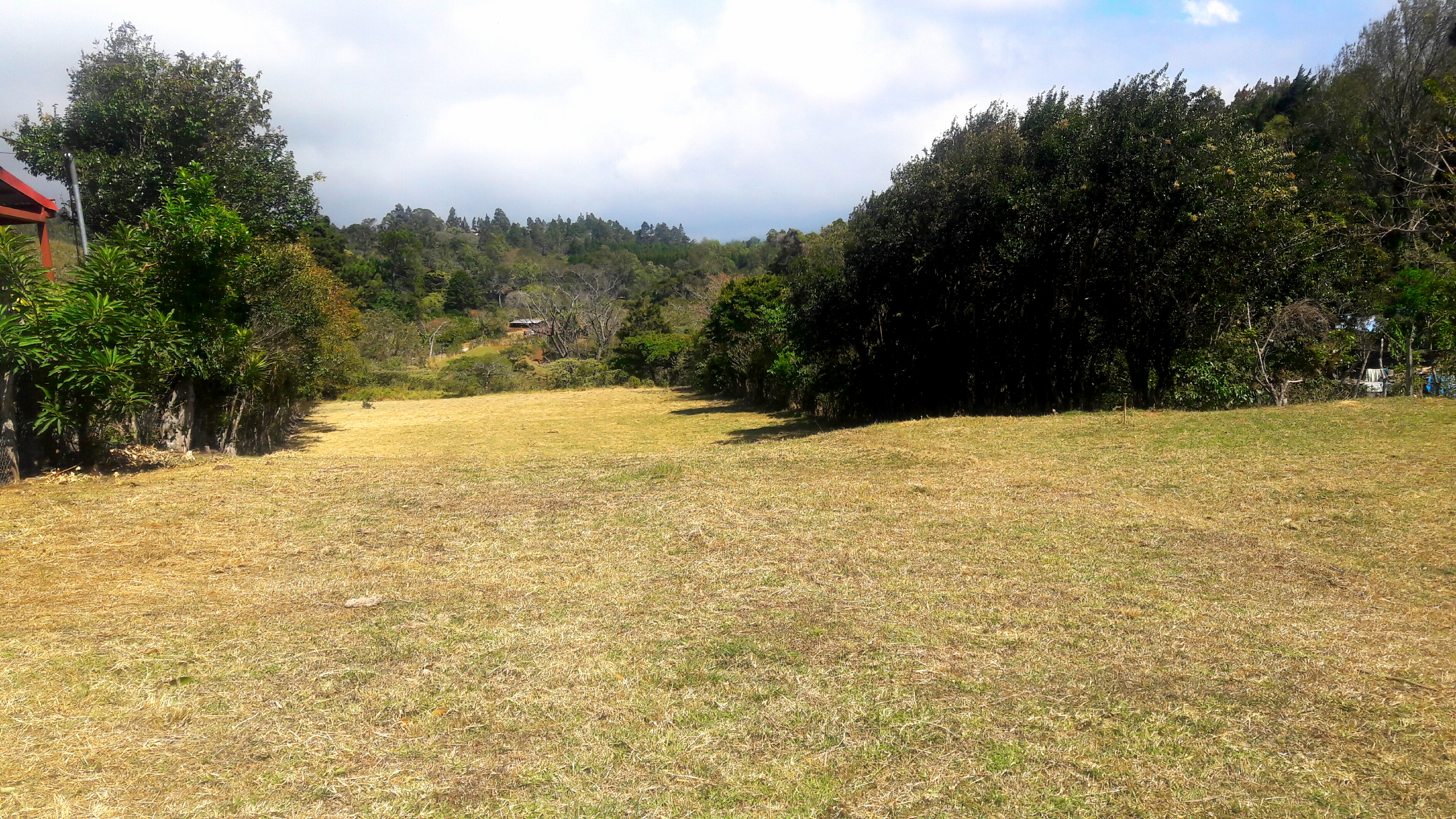 Venta de lotes