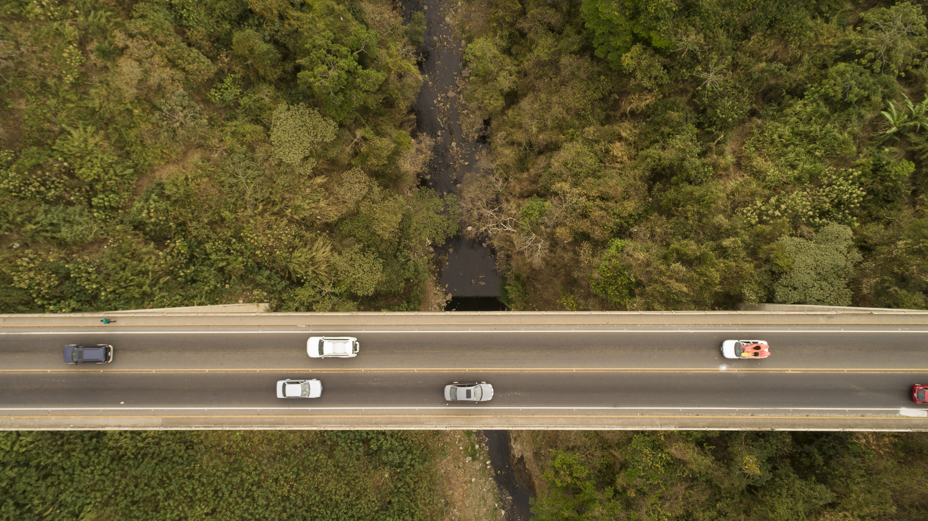 29/02/2019. Puente Saprissa, sobre el río Virilla, San José, Costa Rica. Fotografía: Alejandro Gamboa Madrigal