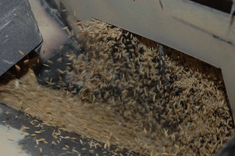 Costa Rica produce únicamente alrededor del 60% del arroz que cosume. El resto se importa de diferentes mercados, incluidas dos obligaciones acordadas con Estados Unidos, con Uruguay y con Argentina.