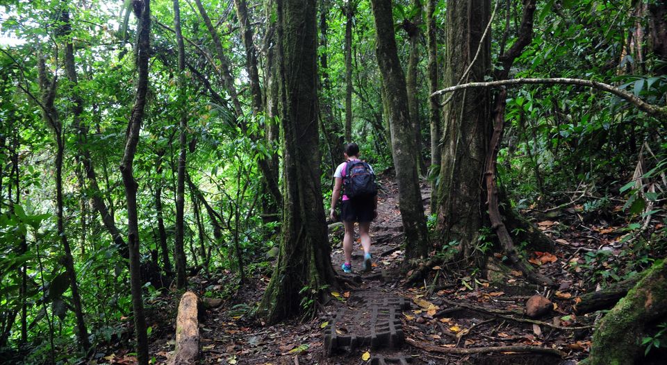 Estado de senderos en el Refugio Nacional de Vida Silvestre bahía Junquillal, en La Cruz de Guanacaste. El sitio recibió el año pasado 10.600 visitantes; 92% de los cuales fueron extranjeros.