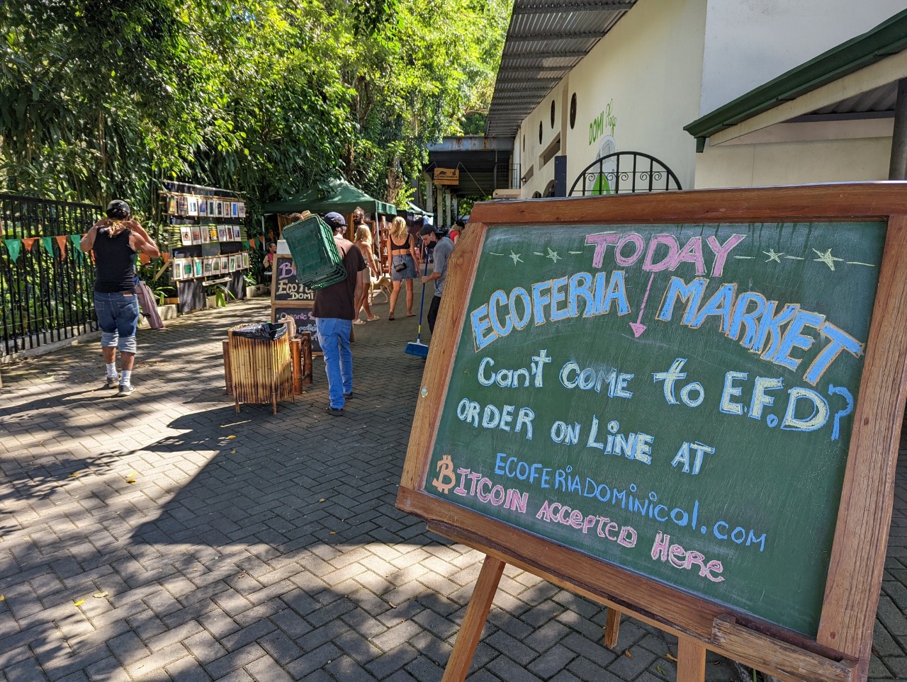 Bitcoin Jungle: la comunidad en Costa Rica que desafía la inestabilidad y  usa la criptomoneda como medio de pago | El Financiero