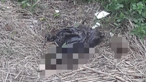 Una pareja denunció en 2019, que el sospechoso de agredir a una jueza, los amenazaba de muerte. En una ocasión les lanzó una bolsa con los restos de un perro como forma de intimidación.