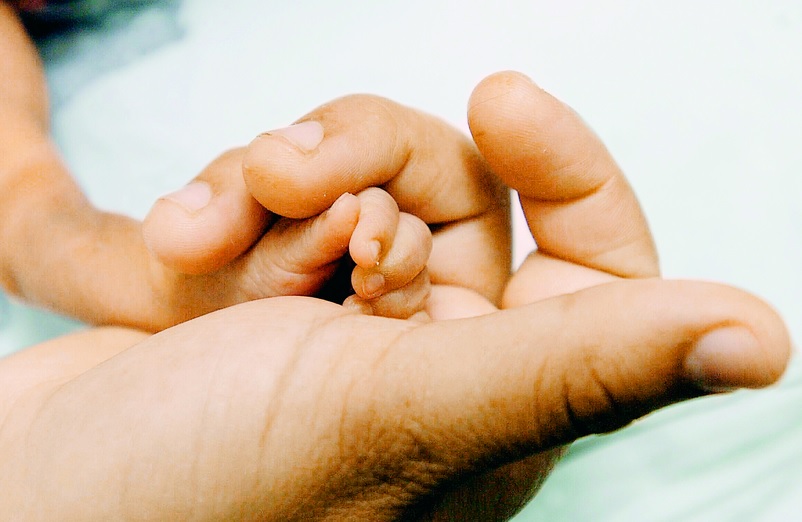 hijos, padres, bebés