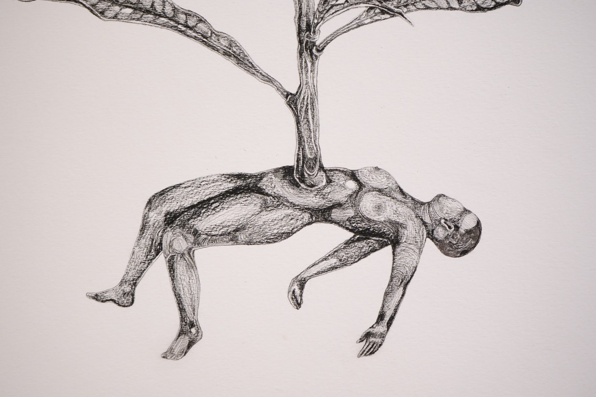 El arte de Verónica Navas se teje entre textiles, hierbas y territorios: Conozca su obra