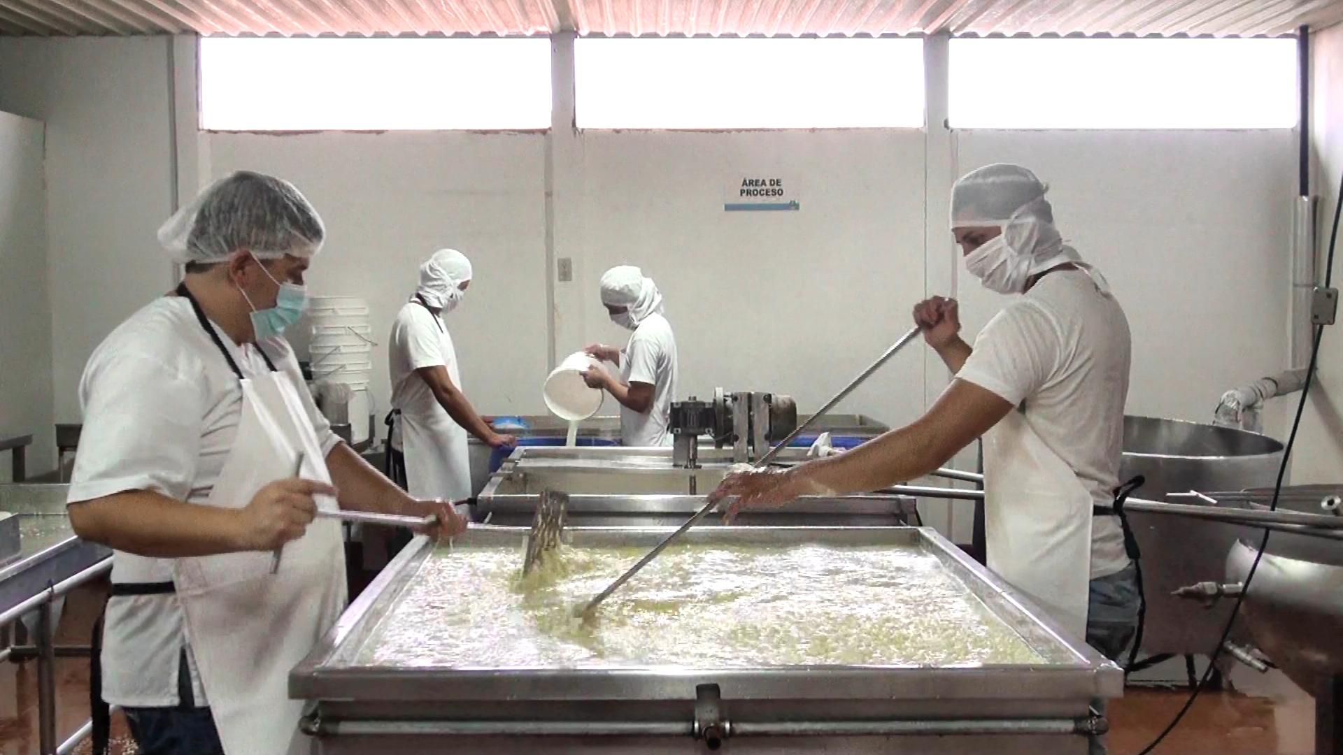 Cuatro trabajadores con indumentaria de seguridad procesan productos lácteos en grandes tanques dentro de una planta industrial en Costa Rica.