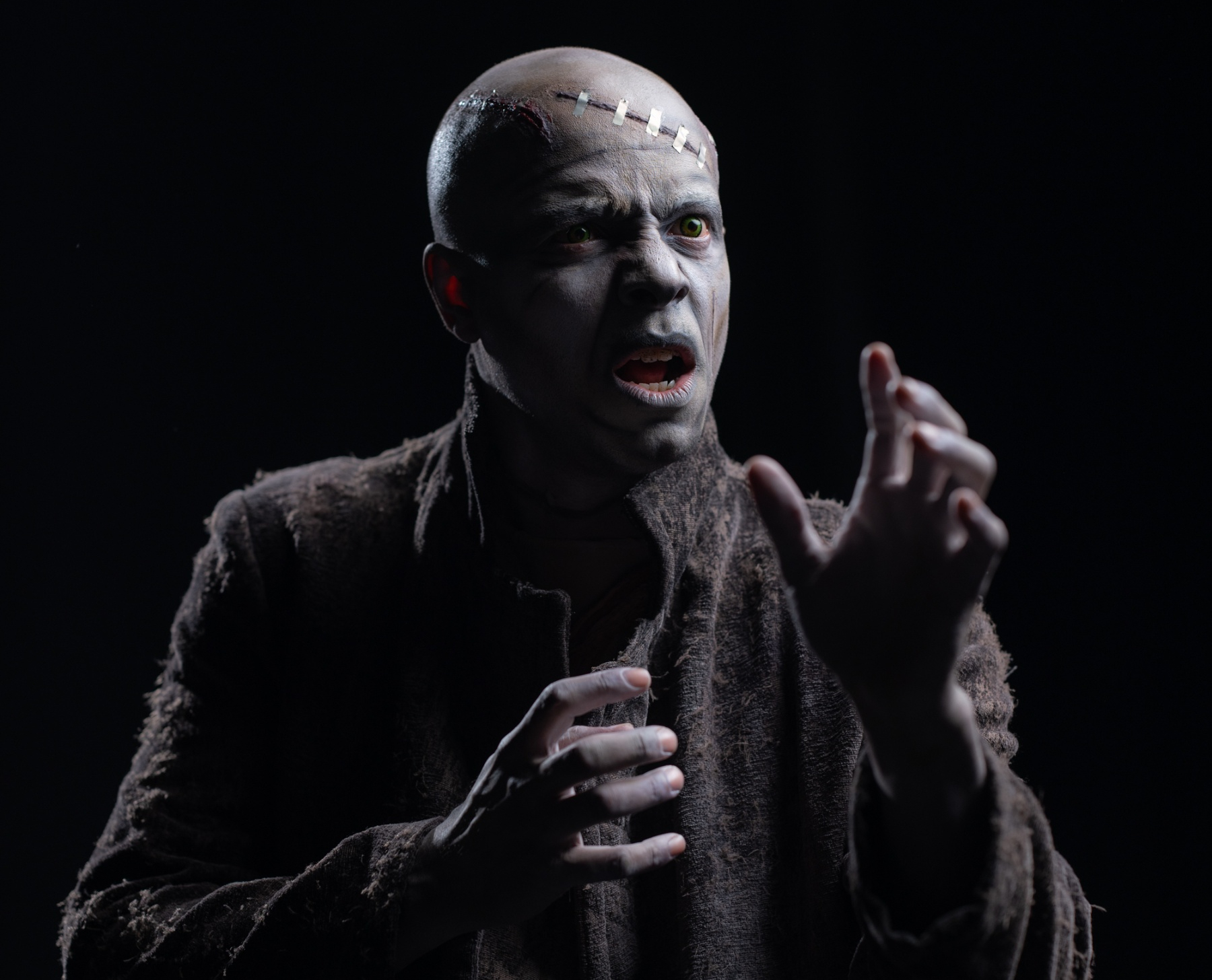 Esta es la primera vez que el montaje de 'Frankestein, el musical' se presenta en Costa Rica, pero la adaptación de la novela clásica ya ha estado en múltiples escenarios europeos.
