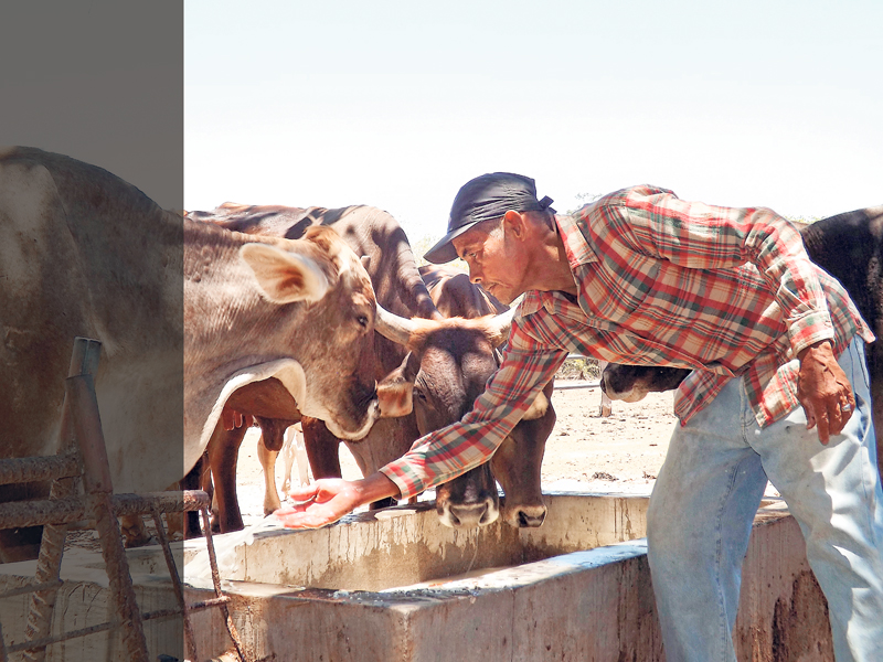 La escasez de agua podría generar conflicto entre sus diferentes usos: consumo humano y animal, electricidad y riego de cultivos. La deforestación y degradación de suelos repercute en esta disponibilidad de líquido. | CARLOS VARGAS