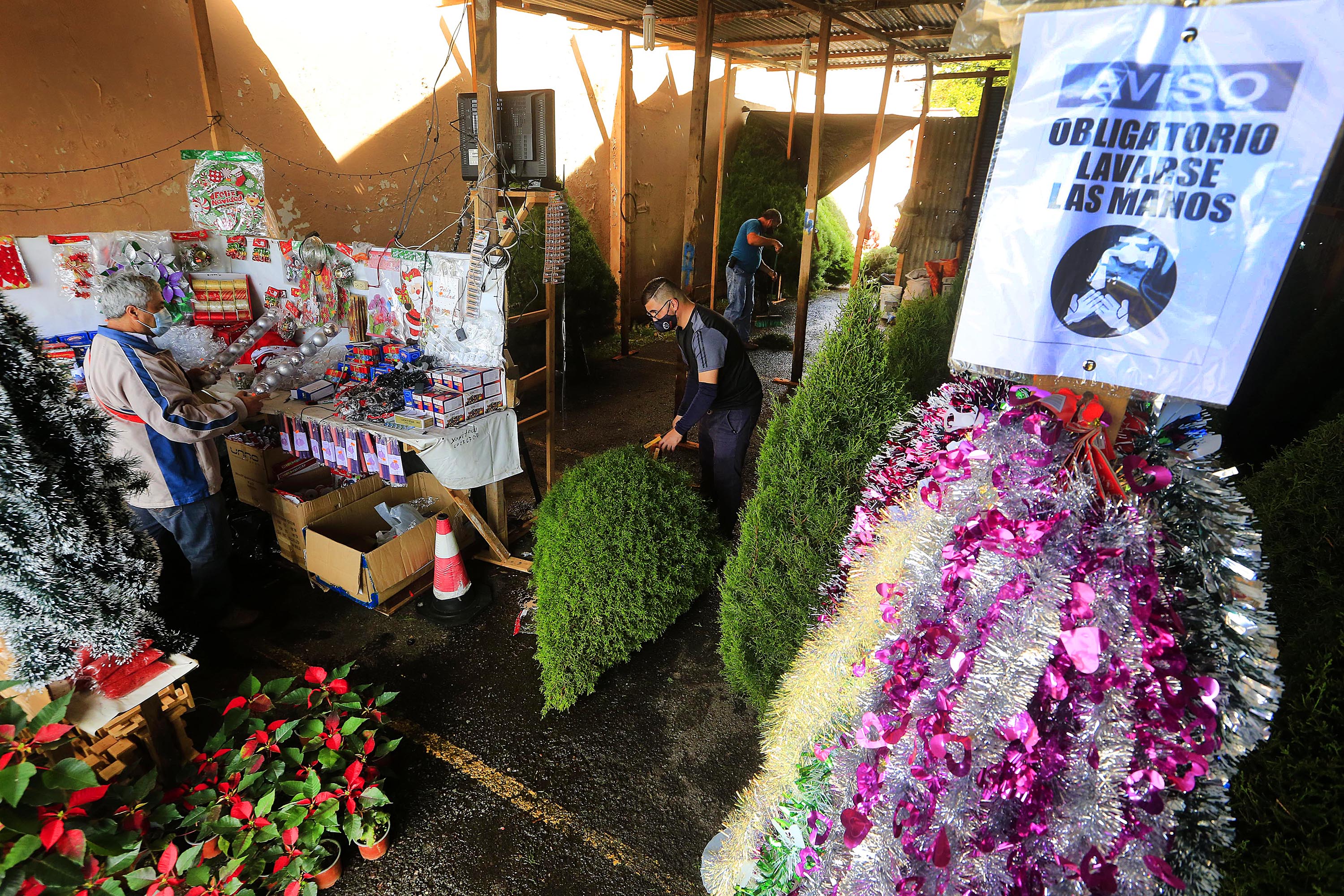21/11/2020 Cartago. Recorrido por chinamos que venden art�culos navide�os; �rboles de navidad, pastoras, casas para pesebre, pasitos, figuras para el pesebre, luces, lana y aserr�n, etc. En el chinamo de Olaman Torres Padilla (a la izquierda), en Los Angeles de Cartago, venden entre otras cosas arbolitos, pastoras y casas para pesebre. Foto: Rafael Pacheco