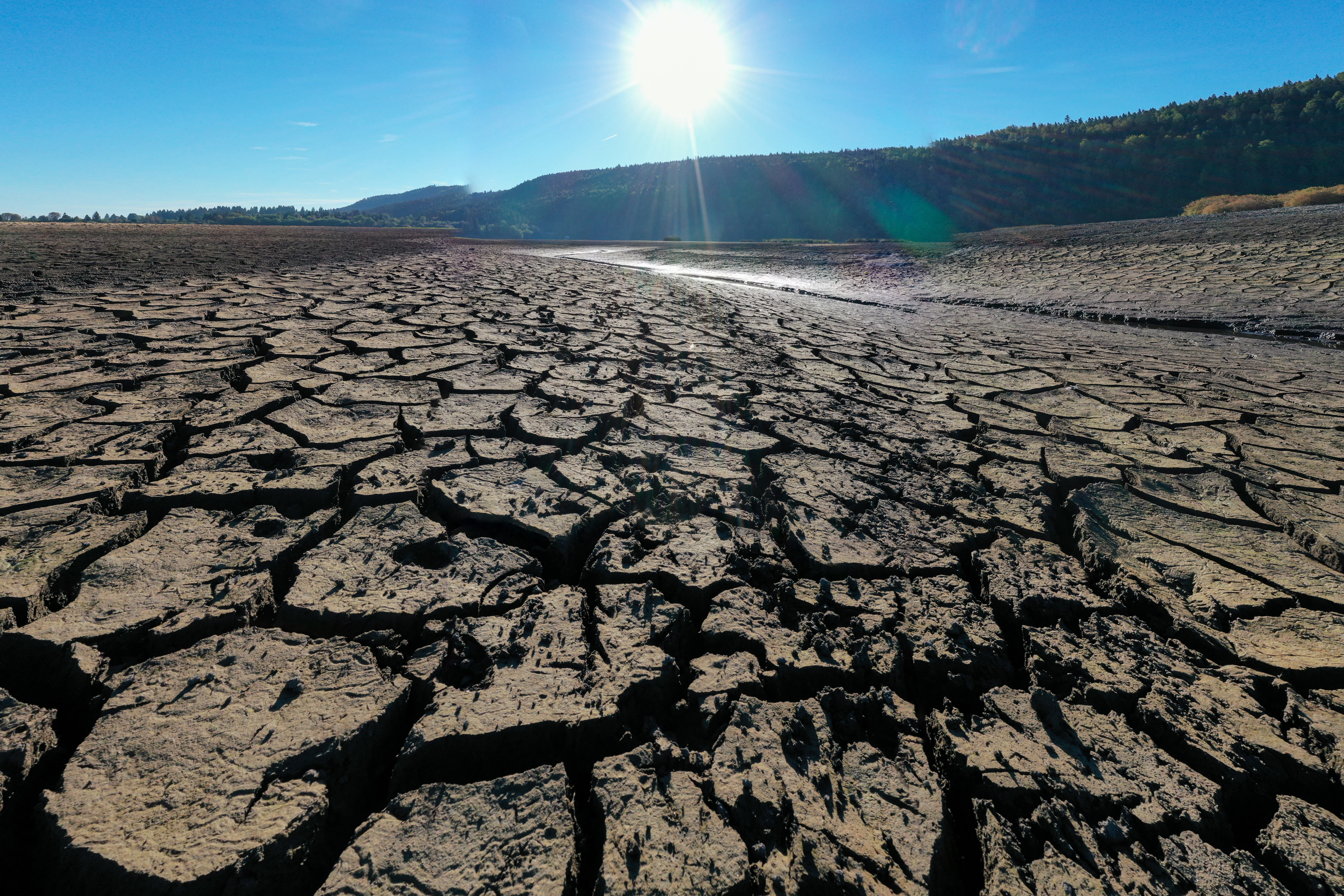 This photo taken on August 3, 2022, shows the dried "Lac de l'Entonnoir" known as "Lac du Bouverans" in Bouverans, eastern France. (Photo by SEBASTIEN BOZON / AFP)