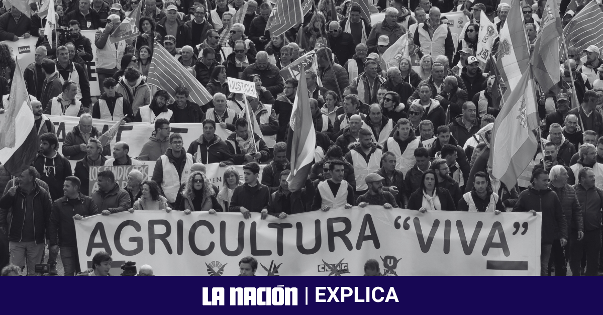 Miles de agricultores se manifestaban el lunes en el centro de Madrid, donde volvieron a entrar con sus tractores para protestar contra las dificultades que atraviesa el sector en España.