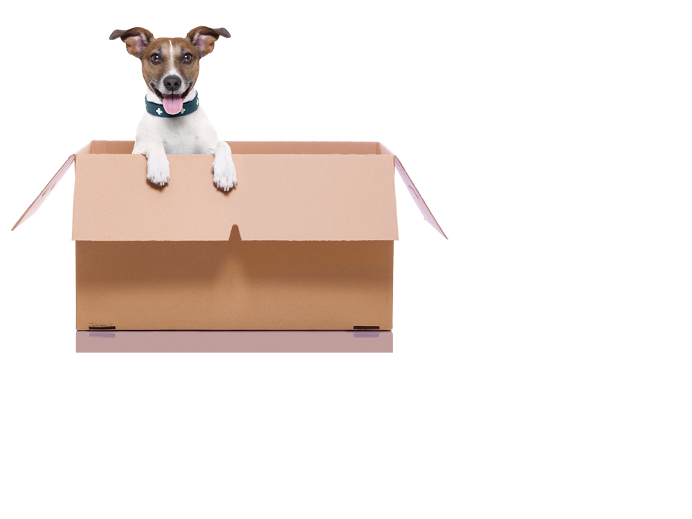 ISTOCK