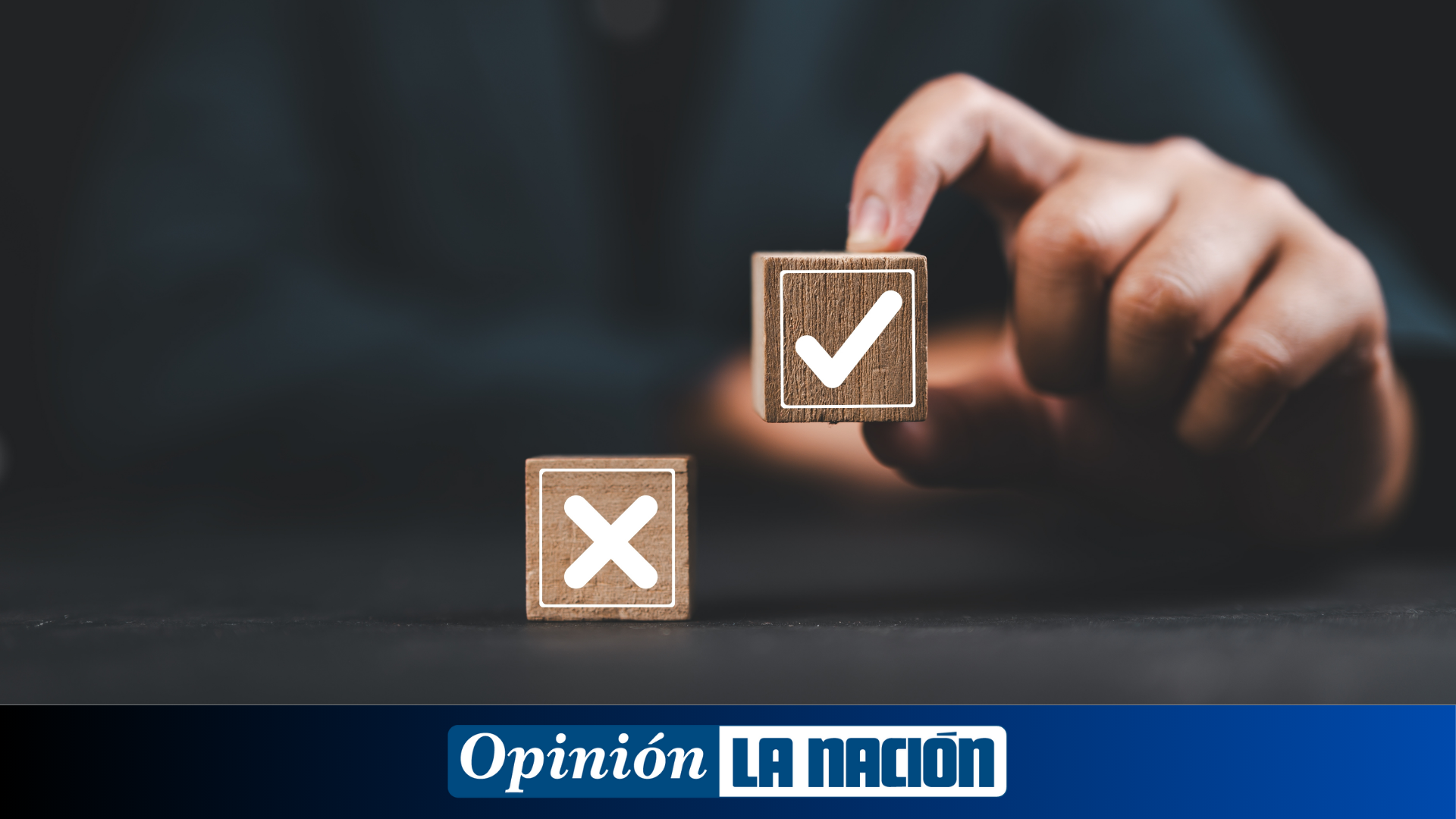 Por quién votar, por quién no votar, elecciones 2026