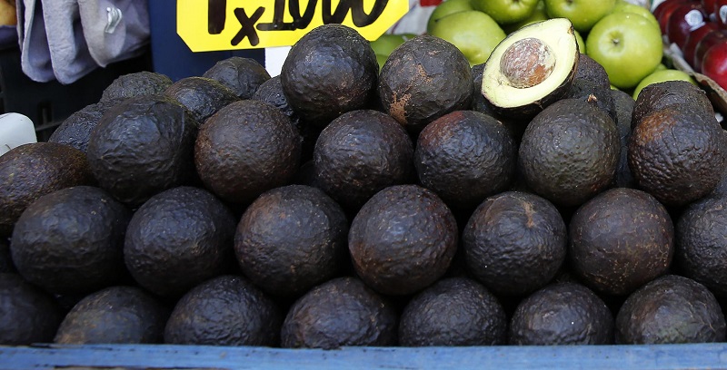 02/12/2015. Hora: 12:05 p.m. Recorrido por ventas de aguacate en San José, donde lo que más se encuentra es el aguacate Haas nacional, ya que el mexicano -afirman los vendedores- está más escaso. En la foto, en el tramo Gamaliel venden aguacate haas de la zona de Los Santos porque el hass mexicano está escaso, explicó Edwin Gutiérrez, uno de los vendedores del tramo que se ubica en las cercanías del Mercado Borbón.
Fotos: Mayela López