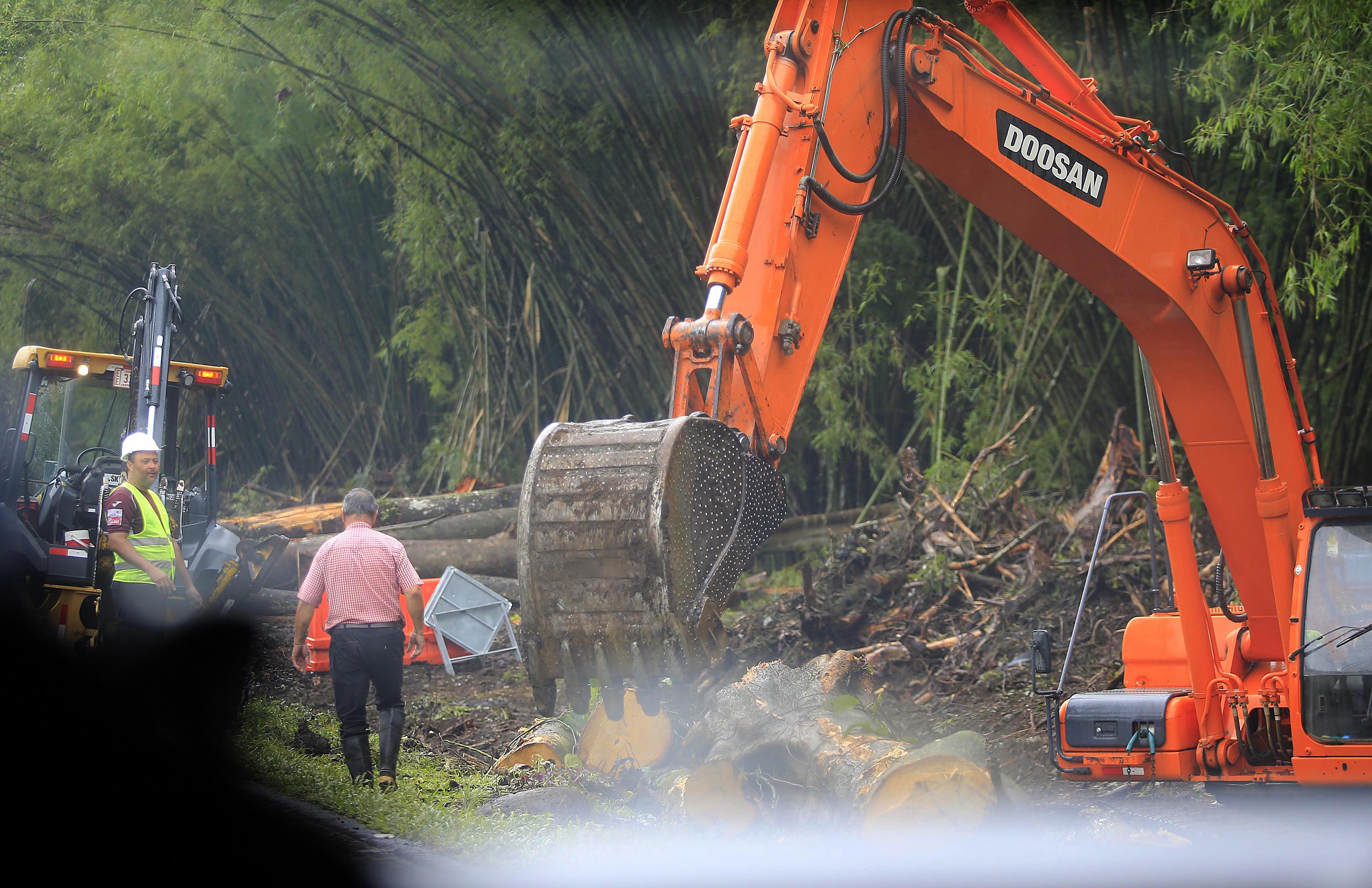 23/04/2018 Ruta 32. Empezaron los trabajos de remoción de árboles para la ampliación de la Ruta 32. Foto: Rafael Pacheco