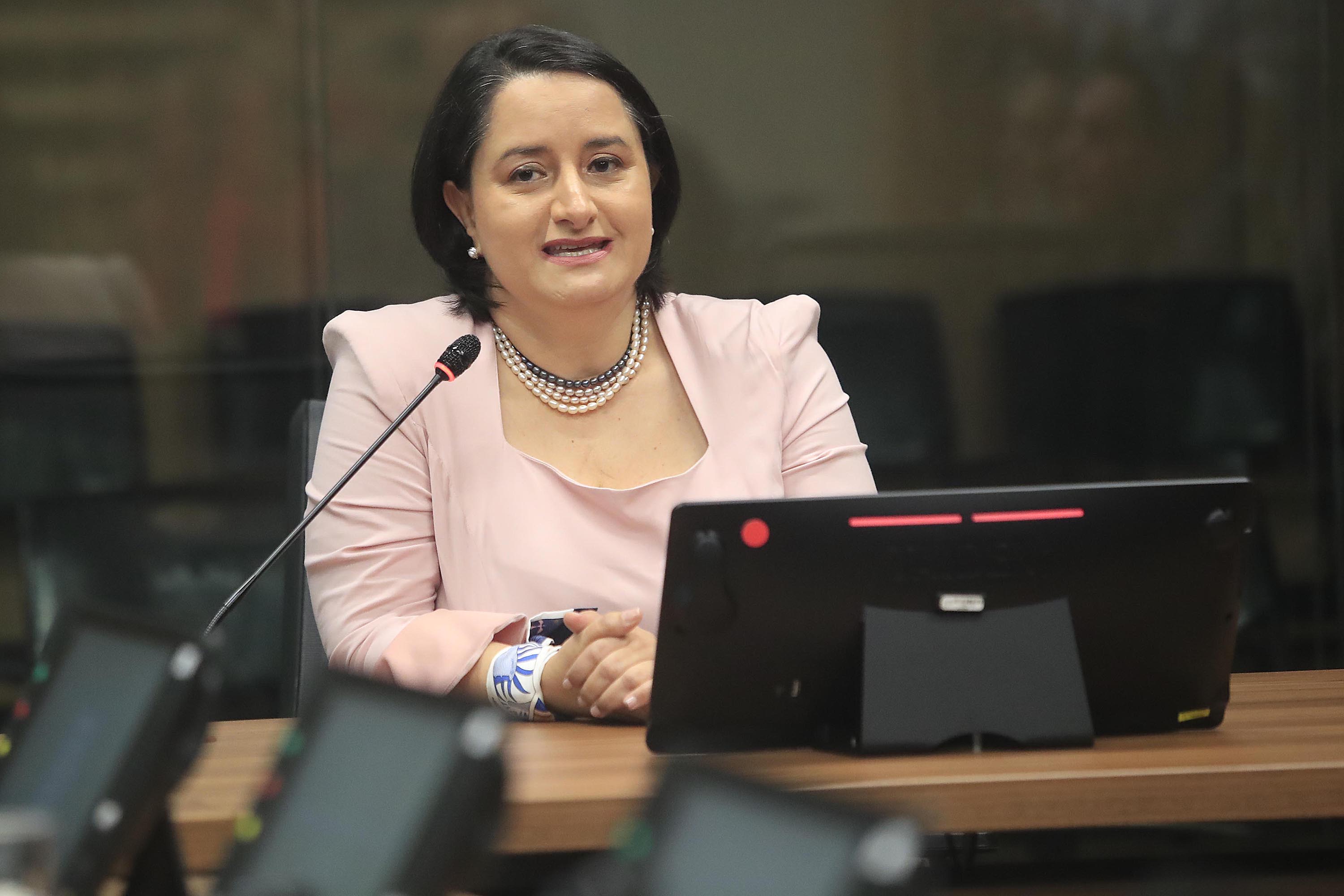 20/07/2023 Asamblea Legislativa. La exministra de la Niñez y Adolescencia y expresidenta ejecutiva del Patronato Nacional de la Infancia (PANI), Gloriana López Fuscaldo, comparece ante la Comisión de Derechos Humanos. Foto: Rafael Pacheco