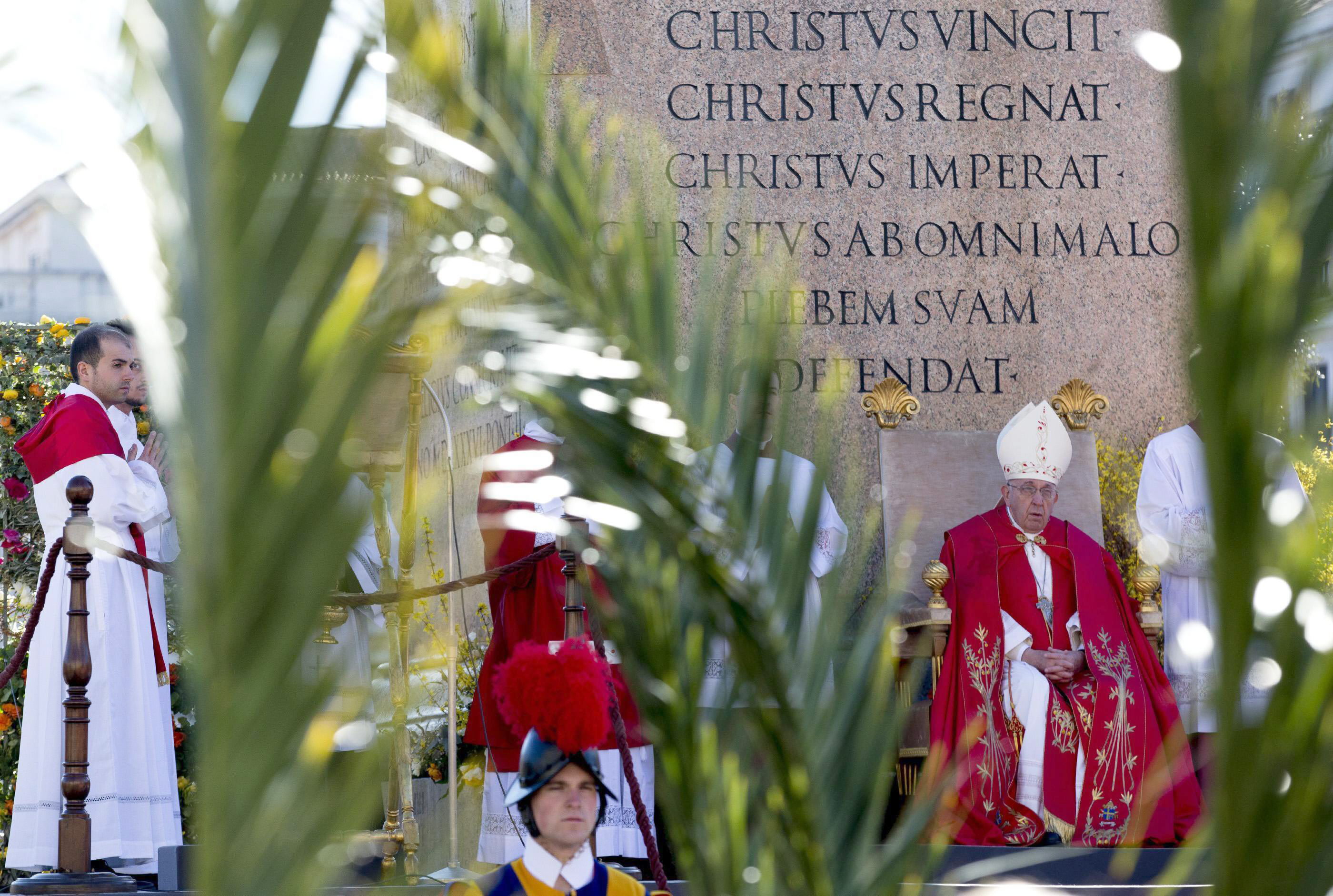 Multitudinario Domingo de Ramos en el Vaticano