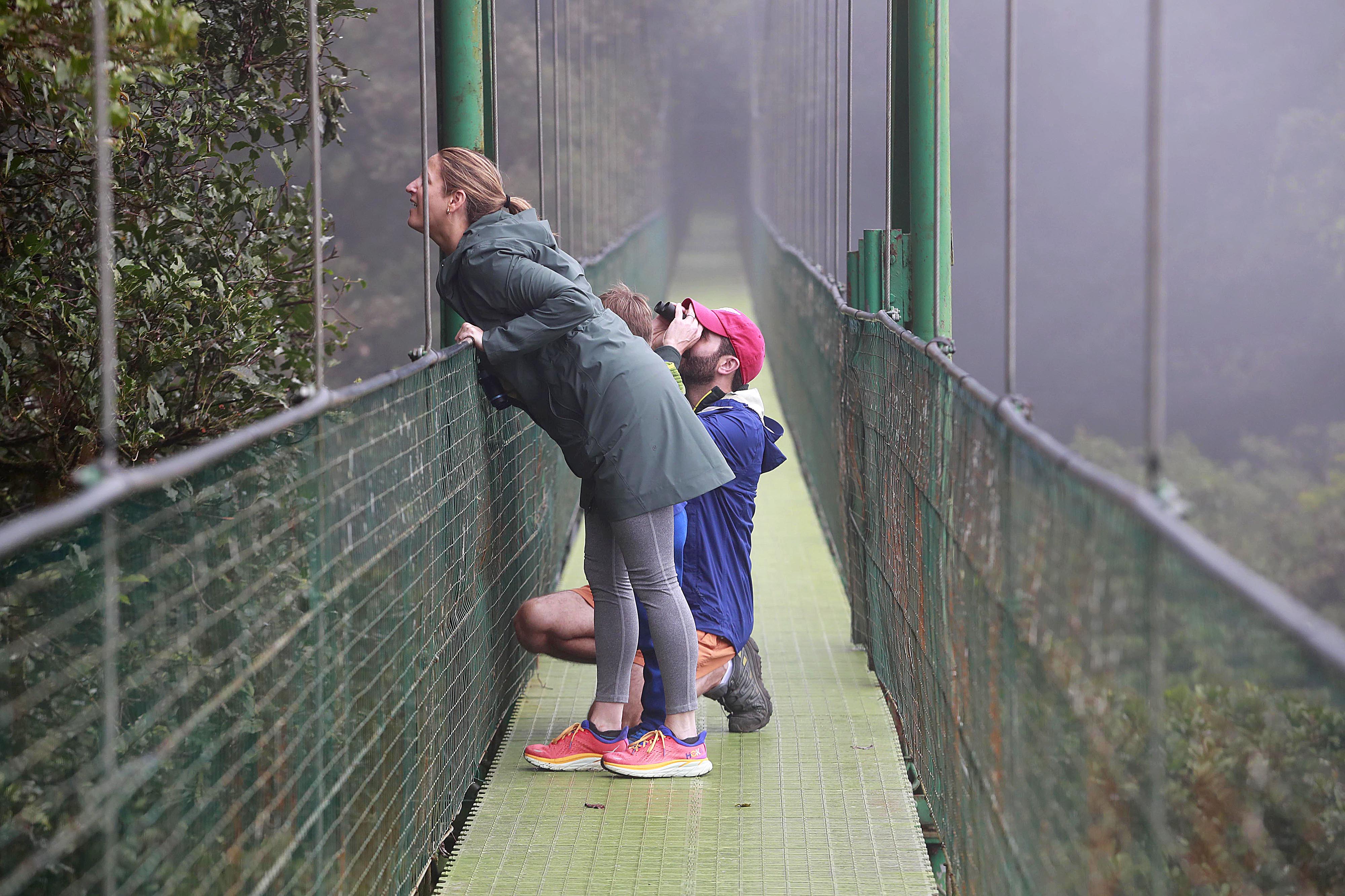 Monteverde. Treetopia, empresa familiar, liderada por Rodrigo Valverde Sánchez y sus cuatro hijos, se ha convertido en pilar en la industria del turismo de aventura en la zona. Cuenta con seis puentes colgantes en las copas de los árboles con fines ecoturísticos, pero también ofrece un teleférico a sus visitantes.