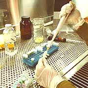 Especialistas buscan la manera de detectar el cáncer gástrico con un examen de sangre.