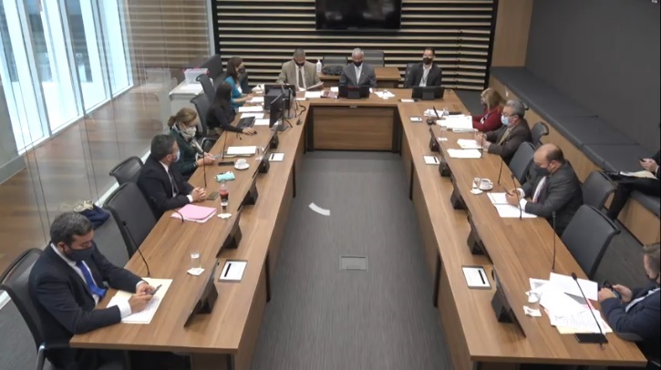 03/11/2020. La comisión de Gobierno y Administración de la Asamblea Legislativa dictaminó esta tarde el proyecto de reforma al empleo público. Foto: captura de pantalla