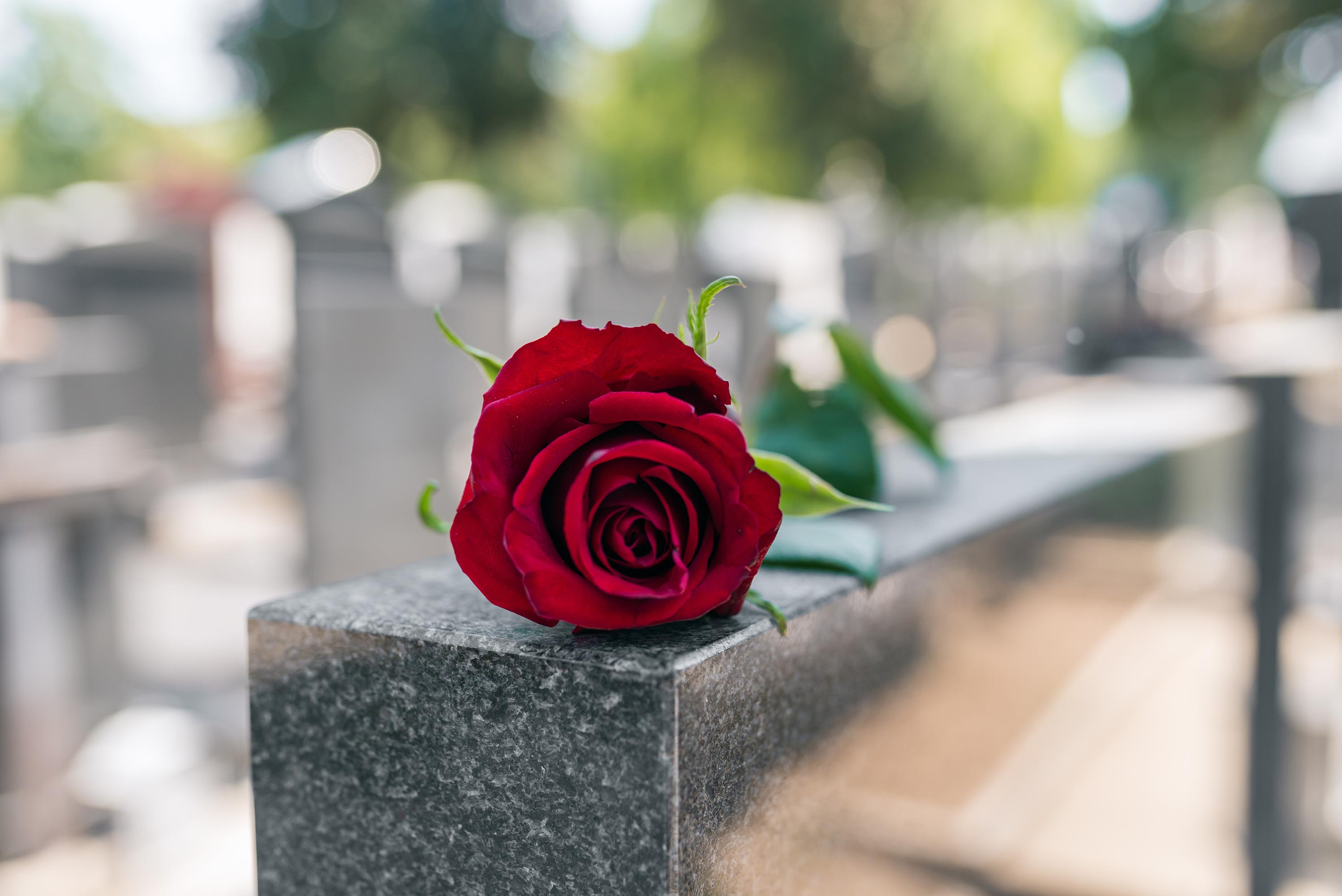 14/08/2020 Muerte, luto, duelo, fotografía de shutterstock