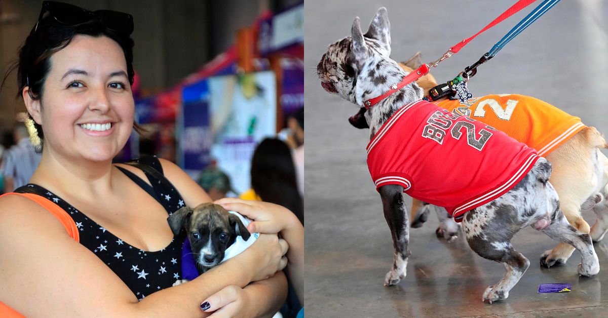 Viva Feria de Mascotas