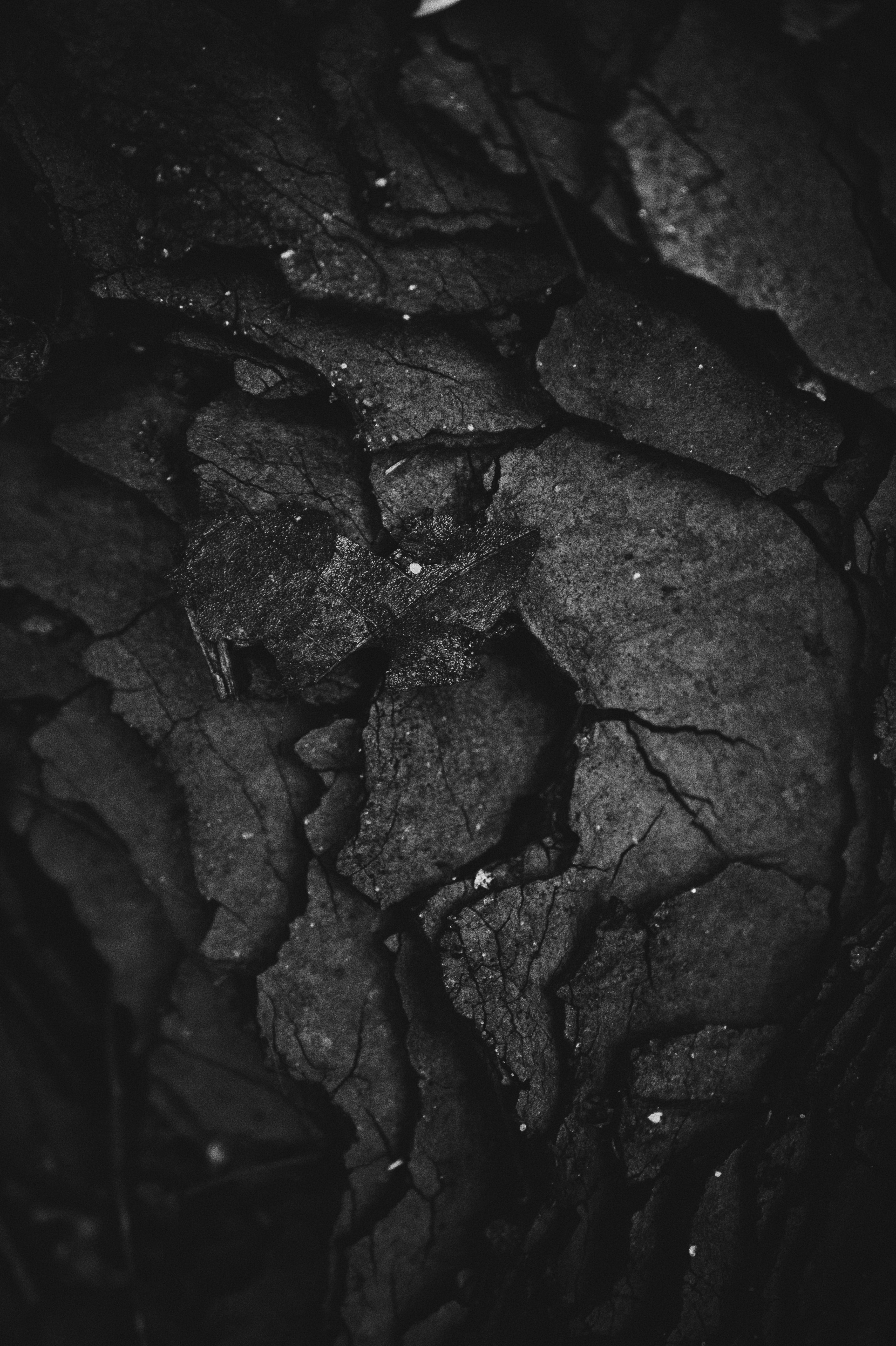 Photo by Brian Patrick Tagalog on Unsplash