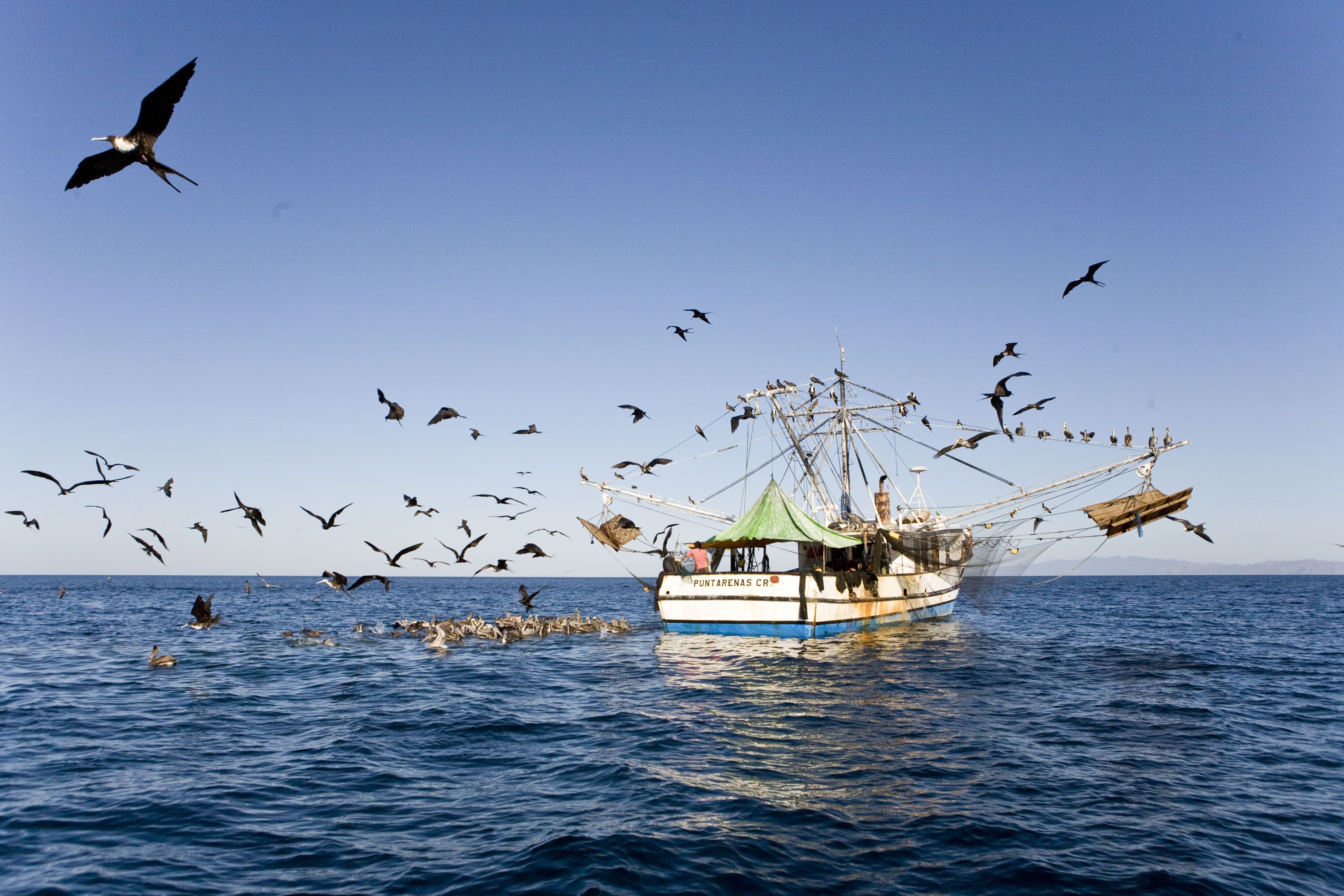 En la imagen, un barco pesquero en medio del mar