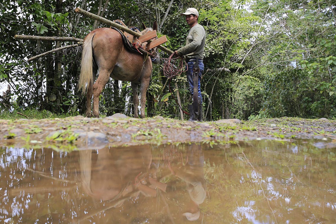Los habitantes celebran la creación del cantonato de Río Cuarto, pues estiman que depender de otros cantones les limita su desarrollo.