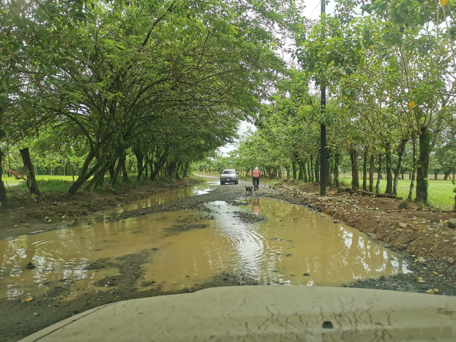 Caño San José, en Puerto Viejo de Sarapiquí, amaneció aún inundado. Temen que situación se agrave con precipitaciones de esta tarde. Foto: Réiner Montero