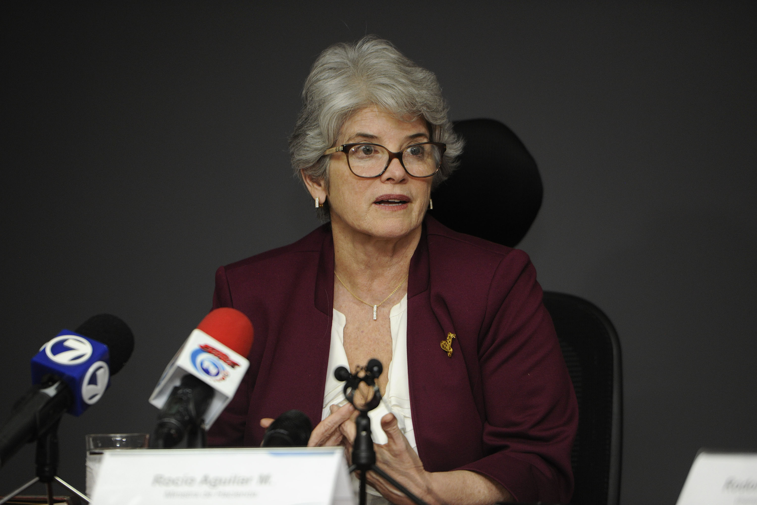 Rocío Aguilar: ‘Con la reforma fiscal el país puede empezar su ...