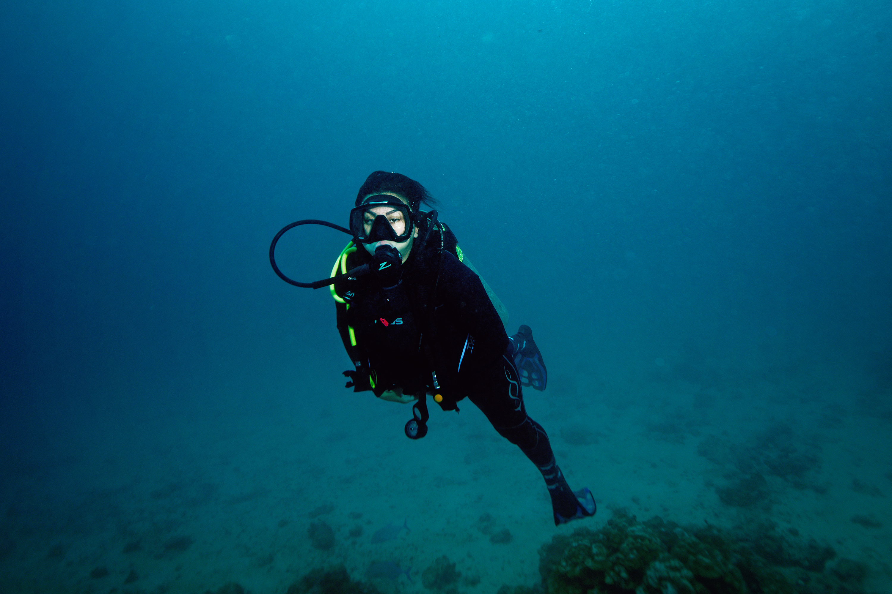 Mayo 2023 / Fotografía submarina ( Underwater ) en la Isla del Coco, punto de buceo Manuelita Profunda para registrar turismo especializado de buceo y fauna marina / Trabajo especial y MATERIAL EMBARGADO REVISTA DOMINICAL / Foto: John Durán