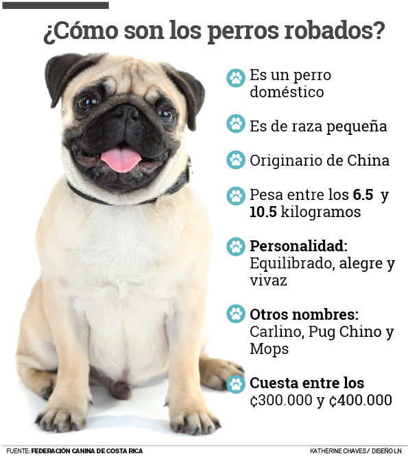 Características de los perros robados.