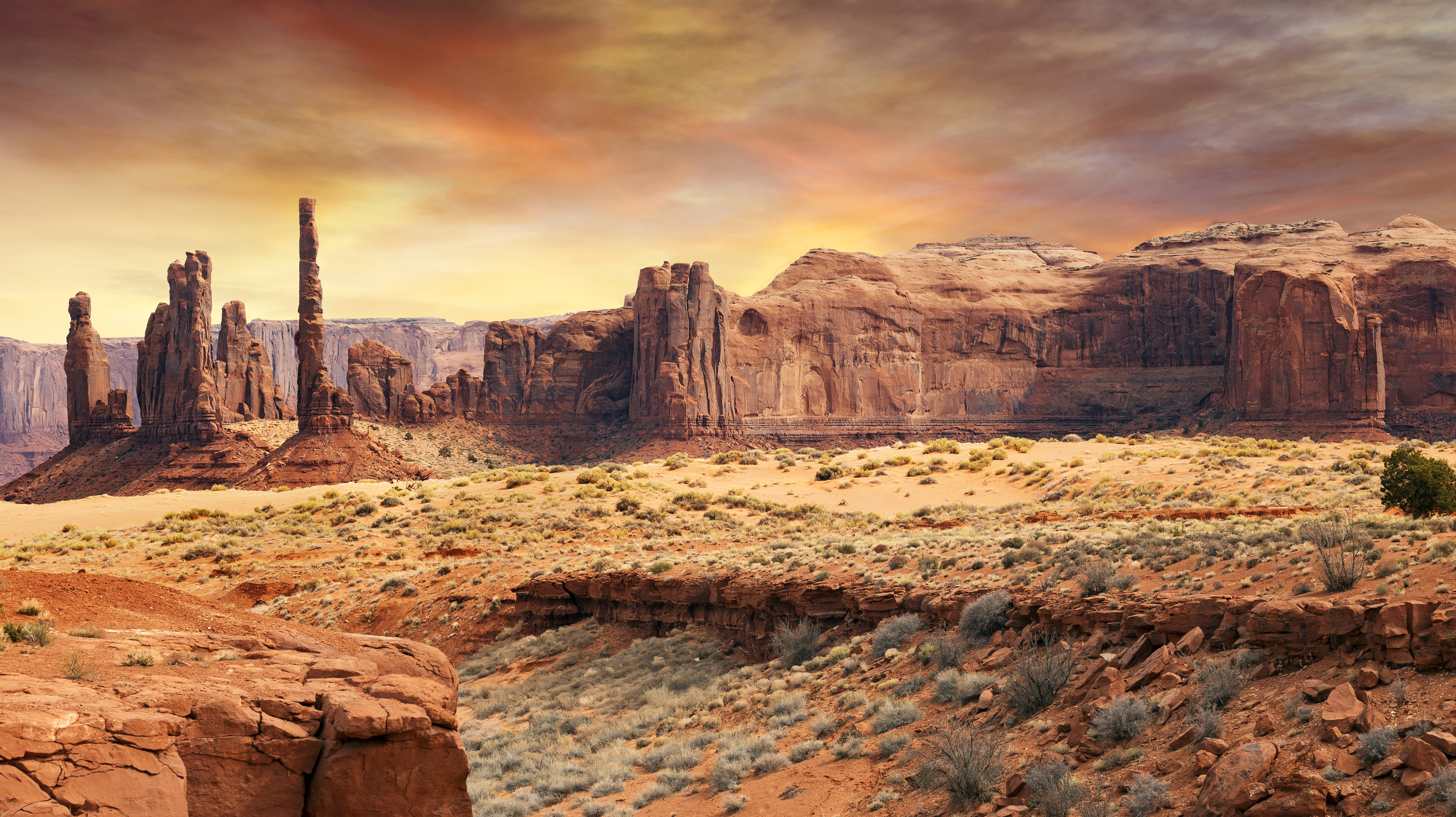 Desierto de Arizona
