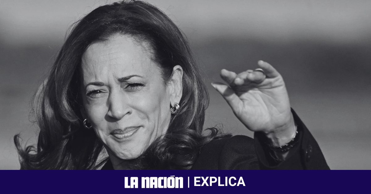 En política migratoria, Kamala Harris respalda la construcción de barreras físicas en la frontera con México. Foto: AFP